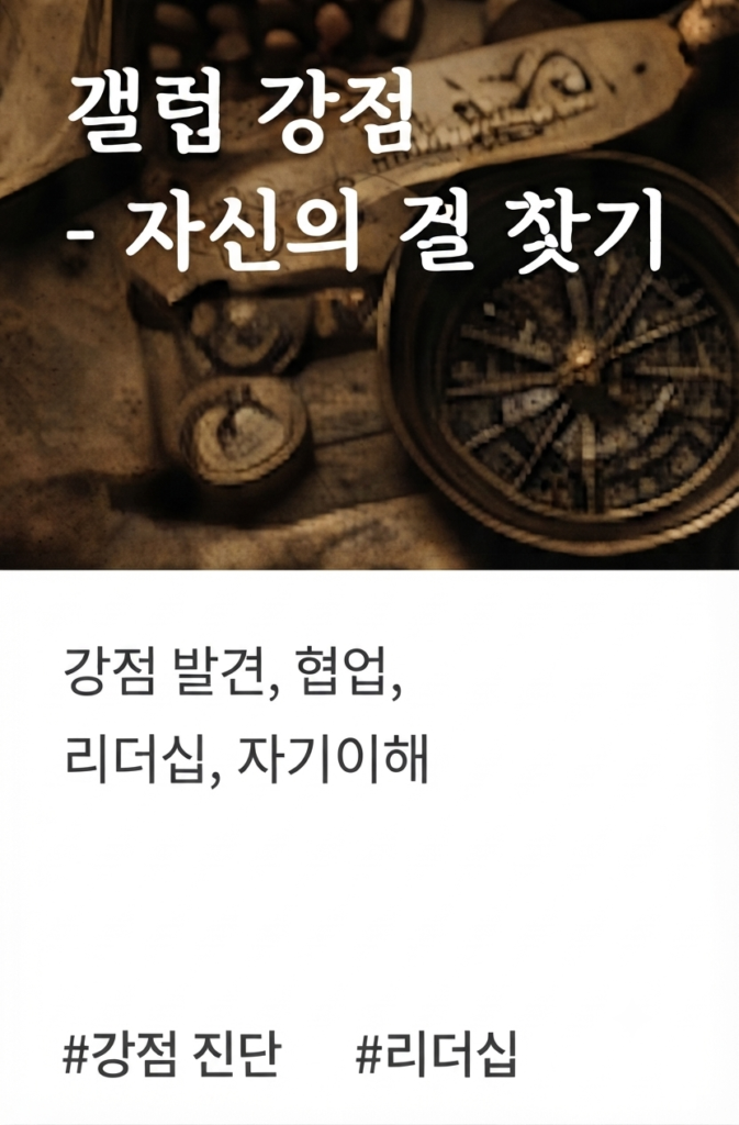 갤럽강점